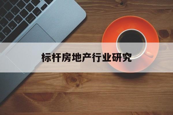 天津市标杆房地产行业研究(房地产领域的标杆人物)