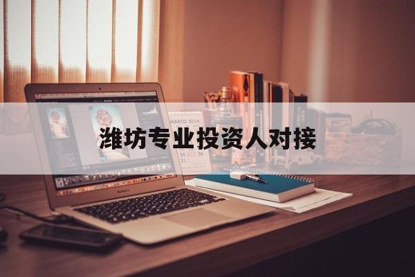 天津市潍坊专业投资人对接(潍坊专业投资人对接中心)