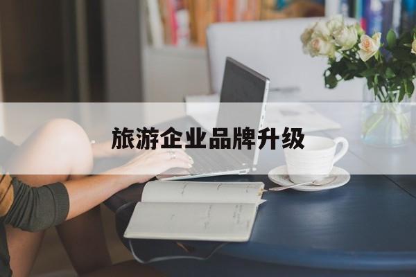 天津市旅游企业品牌升级(旅游企业品牌升级措施)