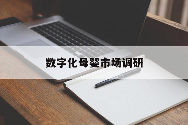 天津市数字化母婴市场调研(数字化母婴市场调研报告)